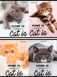 Тетрадь  96 листов Домашние коты 96-6450