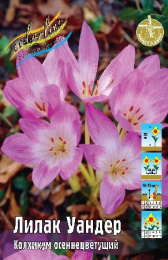 Колхикум Лилак Уандер 18/20 1шт. Colorline