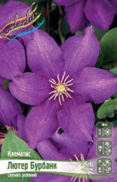 Клематис Лютер Бурбанк 2шт. Colorline