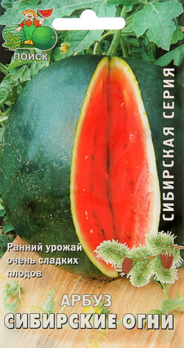 Арбуз Сибирские огни 15шт. цветной пакет Поиск